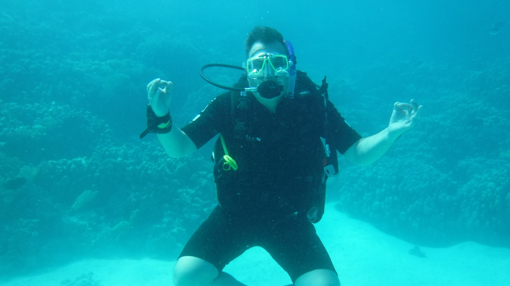 Abu Dabbab · Ein Tauchmoment im Roten Meer