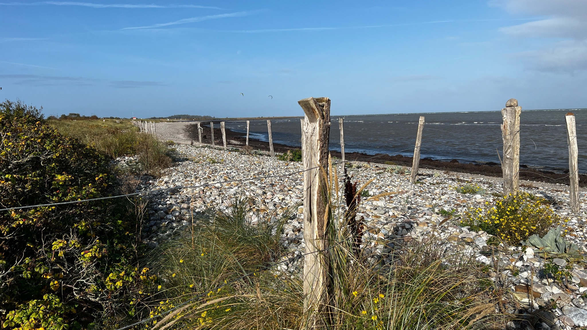 Fehmarn · Strand