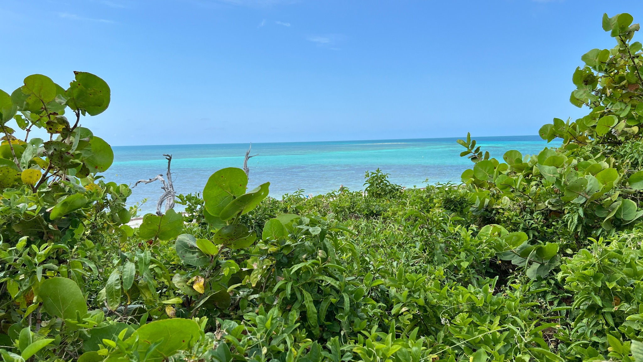 Bahia Honda State Park · Türkis zwischen Himmel und Meer